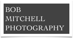 BOB
MITCHELL PHOTOGRAPHY